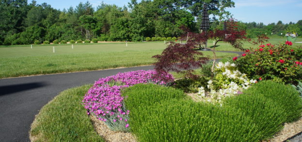 Gravel Garden