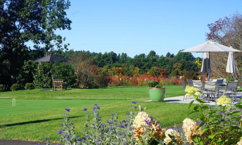 Croquet court